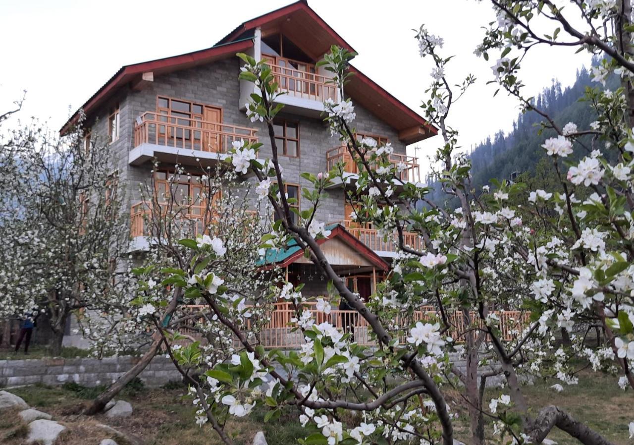 The Heaven'S Retreat Manali (Himachal Pradesh) Ngoại thất bức ảnh