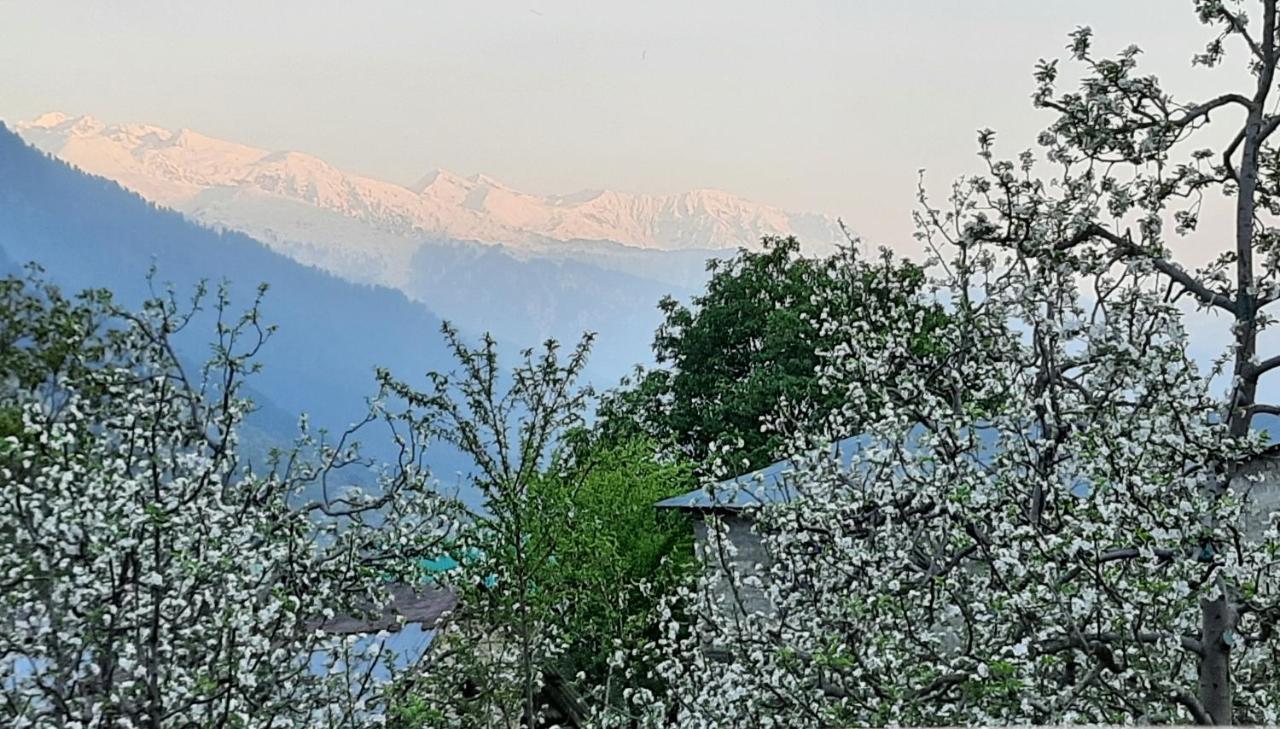 The Heaven'S Retreat Manali (Himachal Pradesh) Ngoại thất bức ảnh