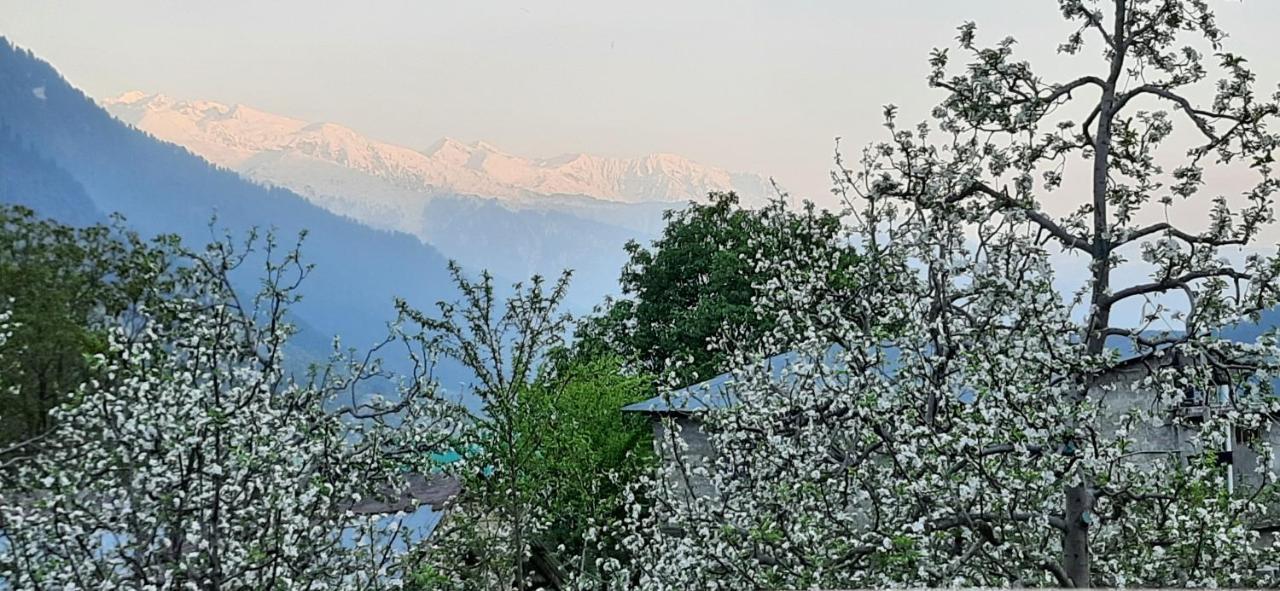 The Heaven'S Retreat Manali (Himachal Pradesh) Ngoại thất bức ảnh
