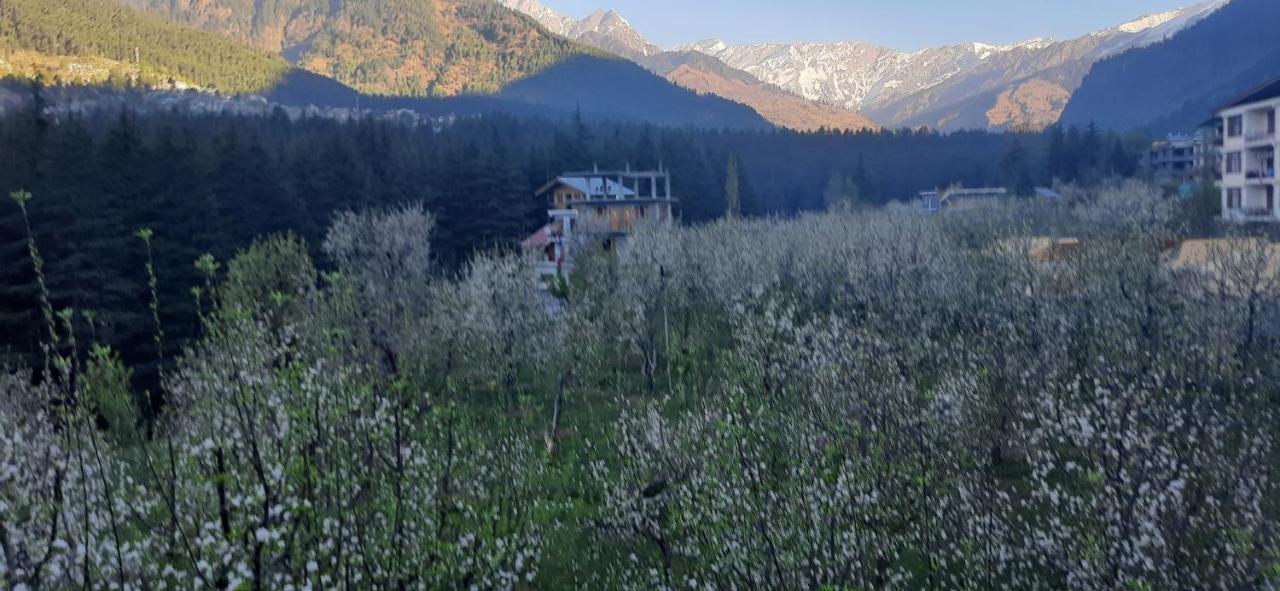 The Heaven'S Retreat Manali (Himachal Pradesh) Ngoại thất bức ảnh